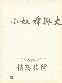 小奴婢与大少爷