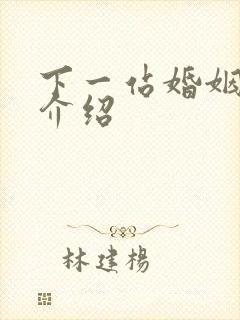 下一站婚姻剧情介绍