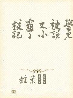 校霸又被学神标记了小说免费阅读