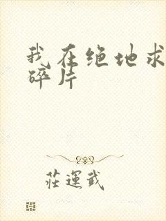 我在绝地求生捡碎片