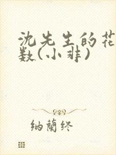 沈先生的花式调数(小非)