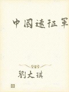 中国远征军小说