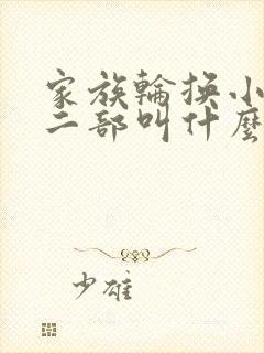 家族轮换小说第二部叫什么名字
