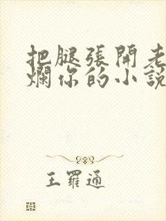 把腿张开老子臊烂你的小说