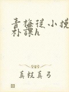 青梅从小摸到大补课h