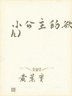 小公主的欲奴(h)