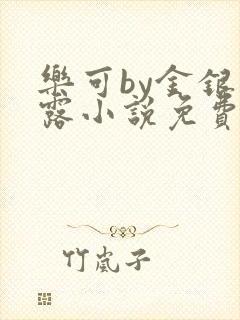 乐可by金银花露小说免费阅读