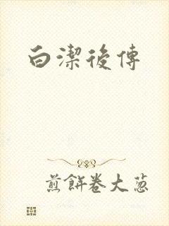 白洁后传