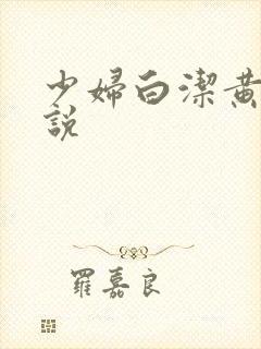 少妇白洁黄色小说