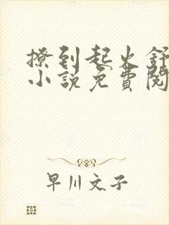 撩到起火舒漾的小说免费阅读全文