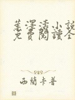 叶泽涛小说全文免费阅读全文