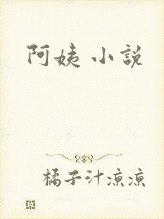 阿姨 小说