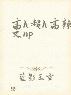 高h超h高辣h文np