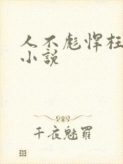 人不彪悍枉少年小说