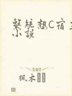 系统想C宿主的小说