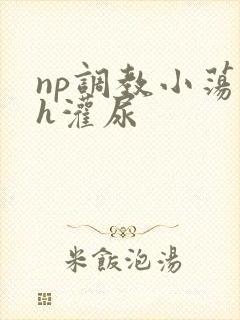 np调教小荡货h灌尿