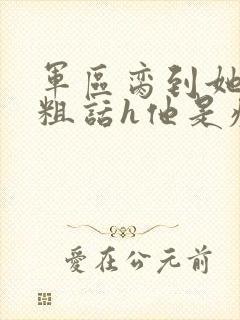 军区脔到她哭h粗话h他是疯批