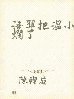 洛羿把温小辉做烂了