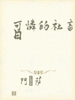可怜的社畜东度日
