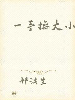 一手抚大小说