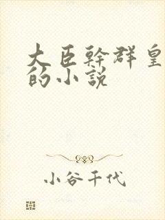 大臣干群皇太后的小说