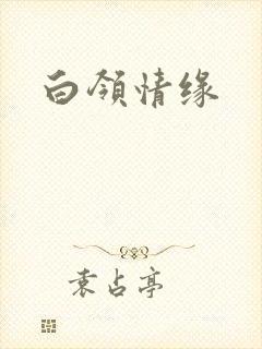 白领情缘