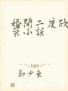 婚开二度欣欣向荣小说