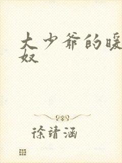 大少爷的暖床小奴