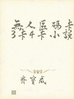 无人区码卡二卡3卡4卡小说