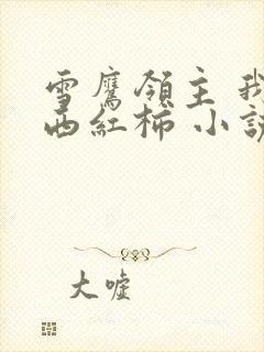 雪鹰领主 我吃西红柿 小说