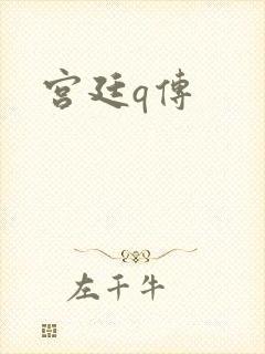 宫廷q传