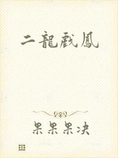 二龙戏凤