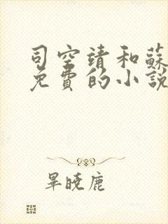 司空靖和苏月汐免费的小说笔趣阁