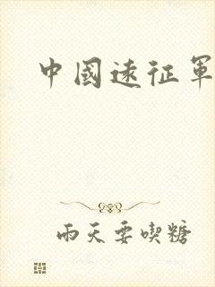 中国远征军小说