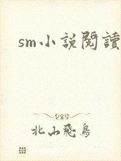 sm小说阅读