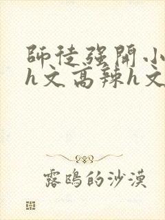 师徒强开小嫩苞h文高辣h文