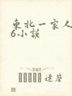 东北一家人1一6小说