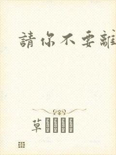 请你不要离开我