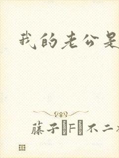 我的老公是军阀