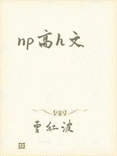 np高h文