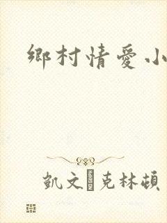 乡村情爱小说