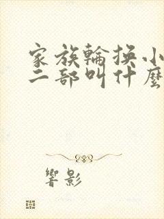 家族轮换小说第二部叫什么名字