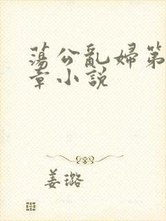 荡公乱妇第51章小说