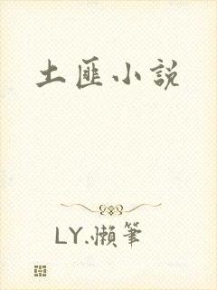 土匪小说
