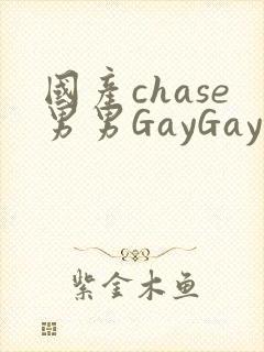 国产chase男男GayGay