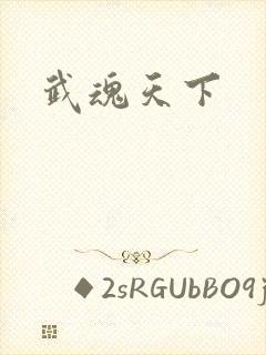 武魂天下
