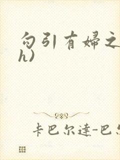 勾引有妇之夫(h)