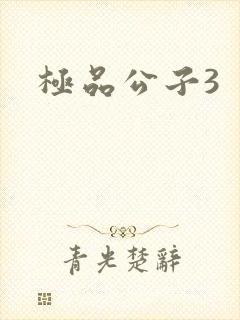 极品公子3