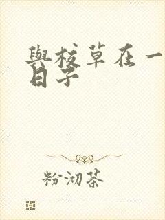 与校草在一起的日子