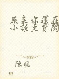 原来你还在这里小说免费阅读